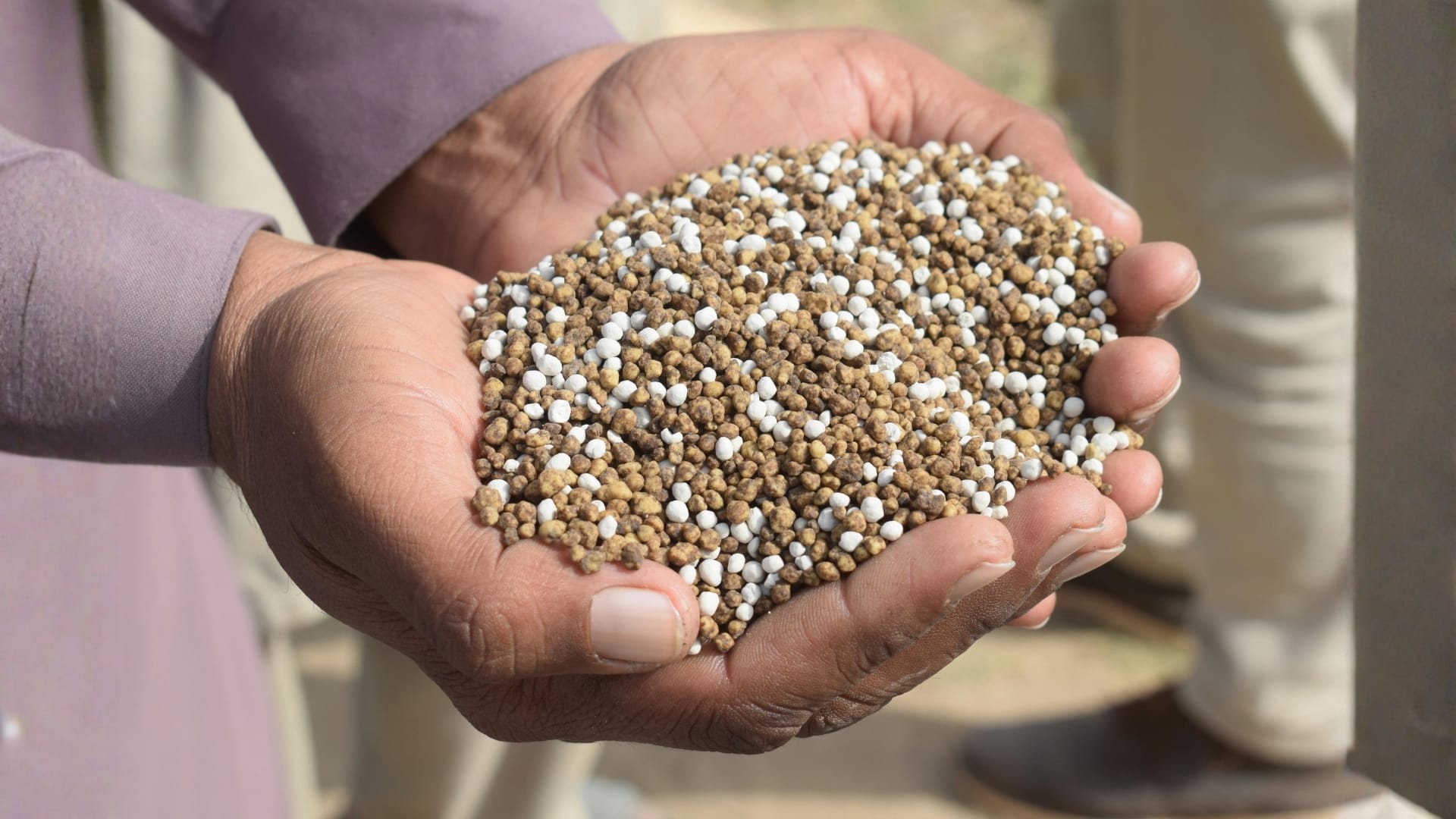 Exporting and importing phosphate and its main products according to the highest international standards to support various industries.